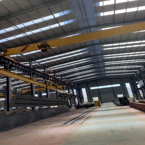 Grua EOT